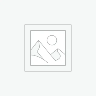 Quisque mi est, blandit sed maximus